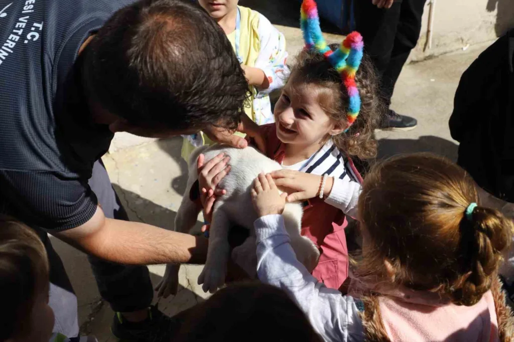 Nazilli’de minik öğrenciler can dostlarla bir araya geldi 4 nazillide minik ogrenciler can dostlarla bir araya geldi e00ac25c87f7